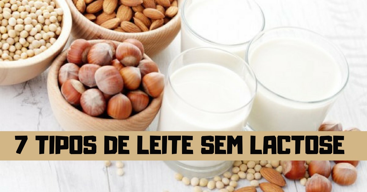 Dicas Da Nutri Que Corre: 7 Tipos De Leite (vegetal) Sem Lactose ...