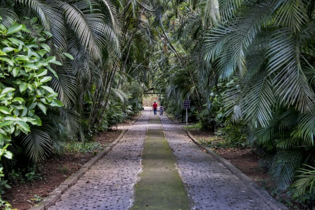 Jardim do Instituto Nacional da Mata Atlântica repleto de espécies nativas e fauna em vida livre, destacando o compromisso com a conservação ambiental.