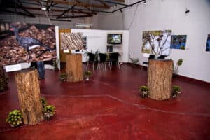 Visão geral de uma exposição de 2014 no Museu Mello Leitão, destacando a biodiversidade da Mata Atlântica.