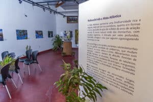 Visão geral de uma exposição de 2014 no Museu Mello Leitão, destacando a biodiversidade da Mata Atlântica.