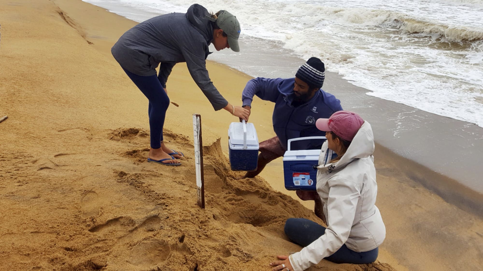 Equipe do Projeto Tamar resgatando ninhos de tartarugas ameaçados por uma tempestade em Regência.