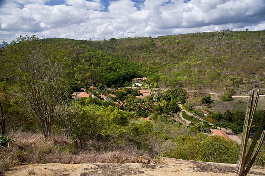 Vista de áreas restauradas do Instituto Terra, mostrando a recuperação da Mata Atlântica