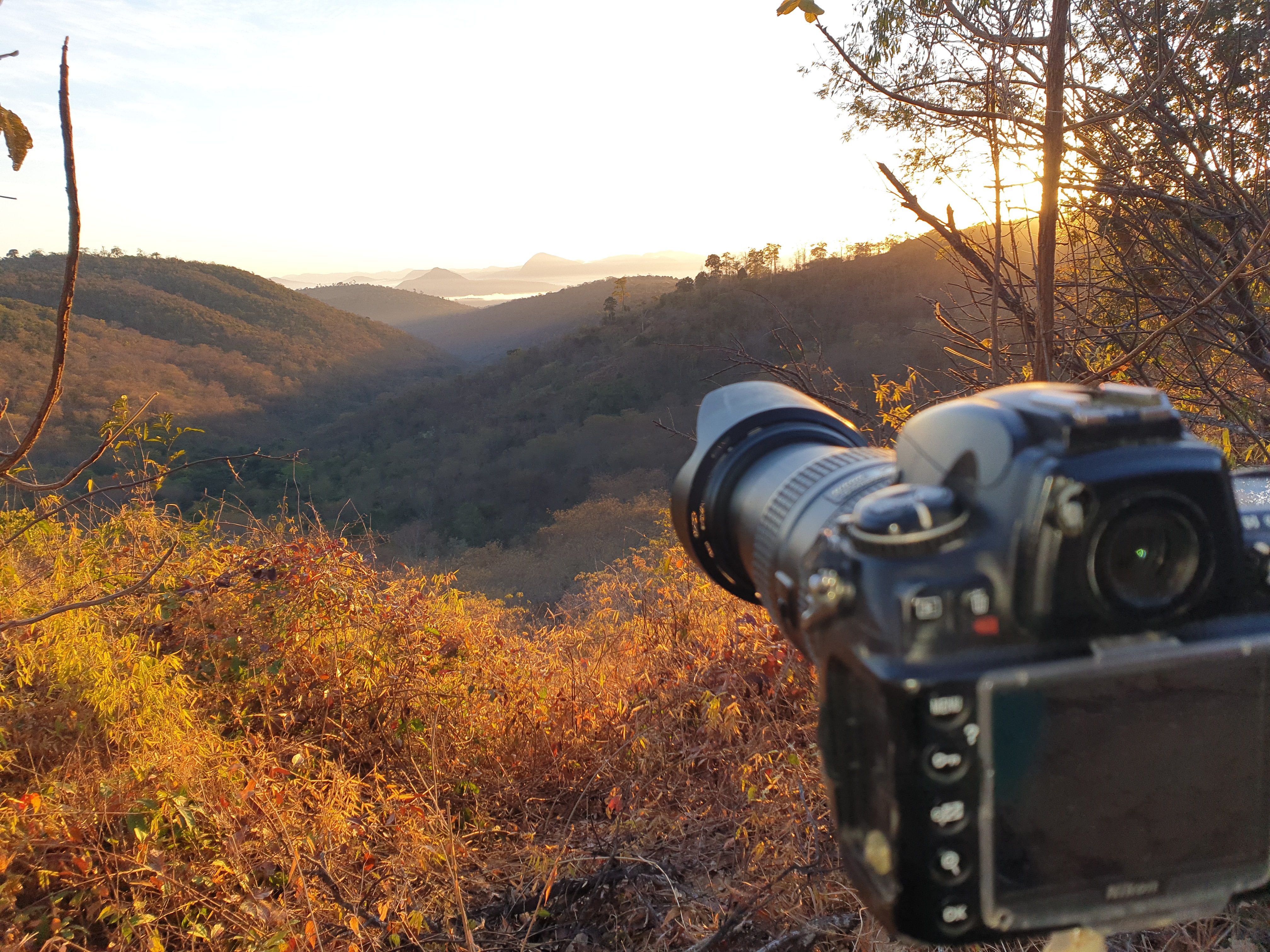 Fotógrafo Leonardo Merçon em ação no Instituto Terra, capturando imagens da floresta regenerada