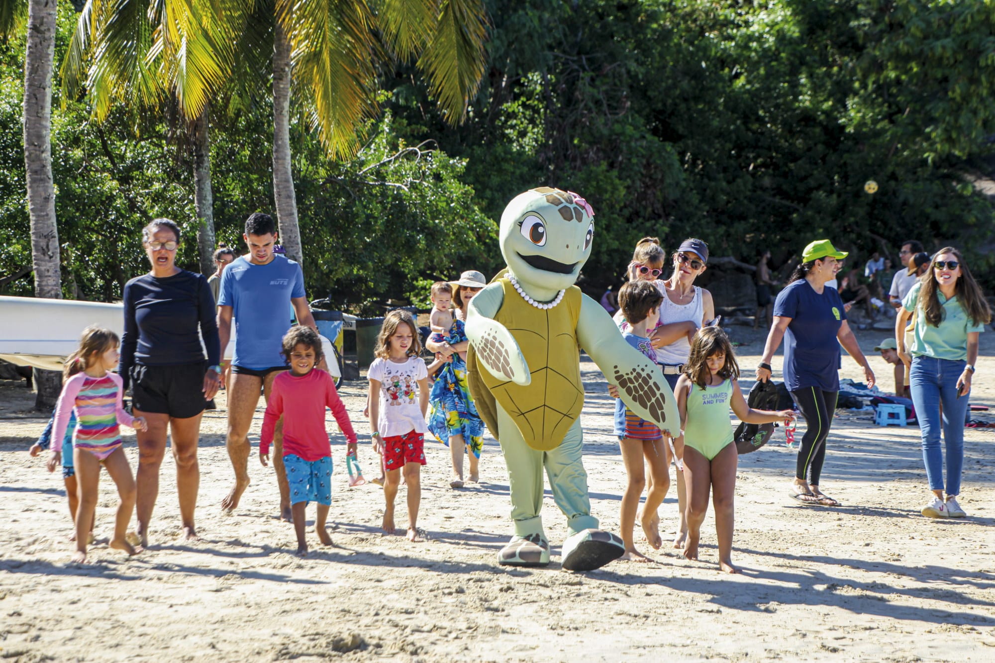 Imagens de projetos de conservação e grupos comunitários trabalhando na Baía das Tartarugas