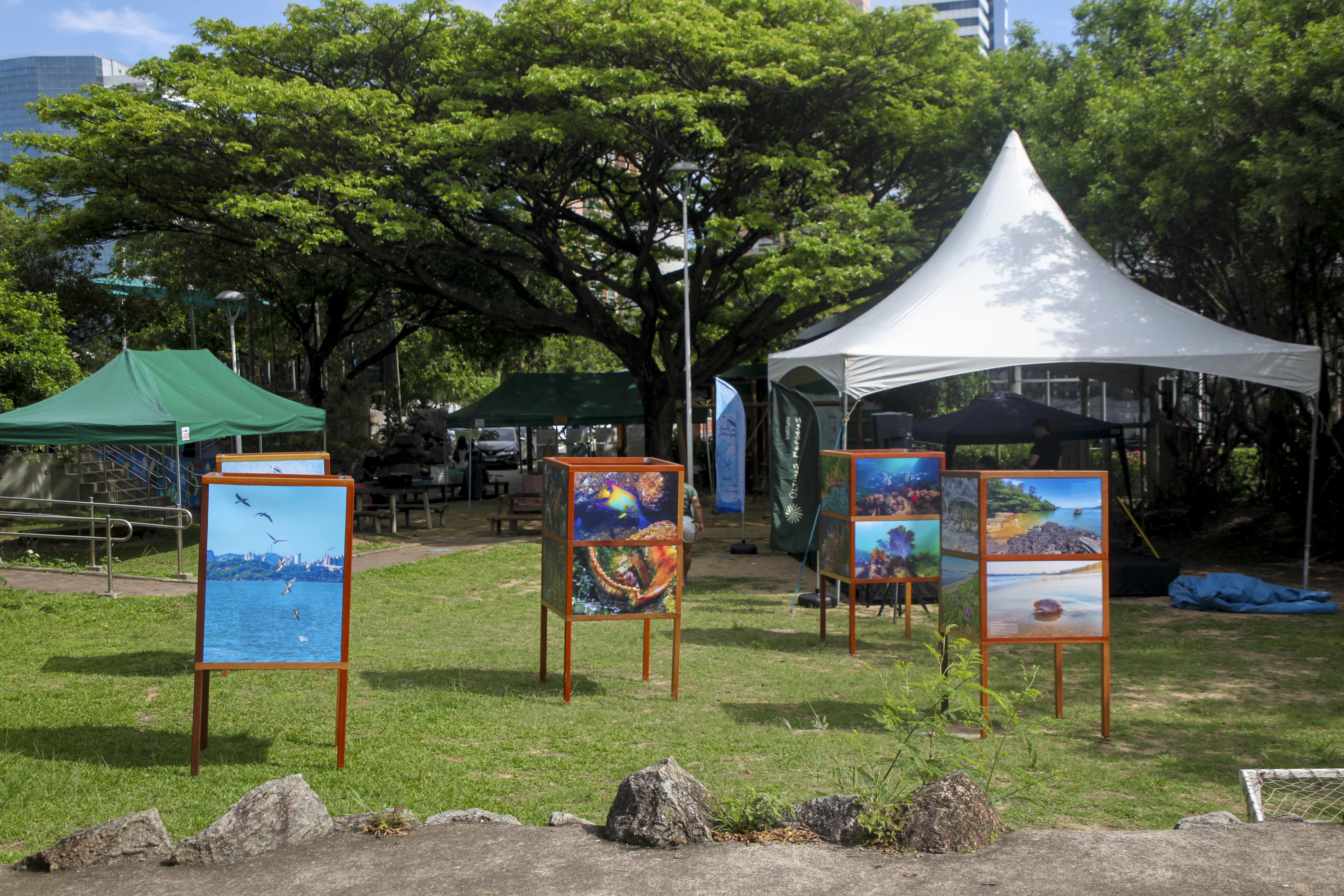 Exposição fotográfica do livro "Baía das Tartarugas" com totens mostrando imagens do livro