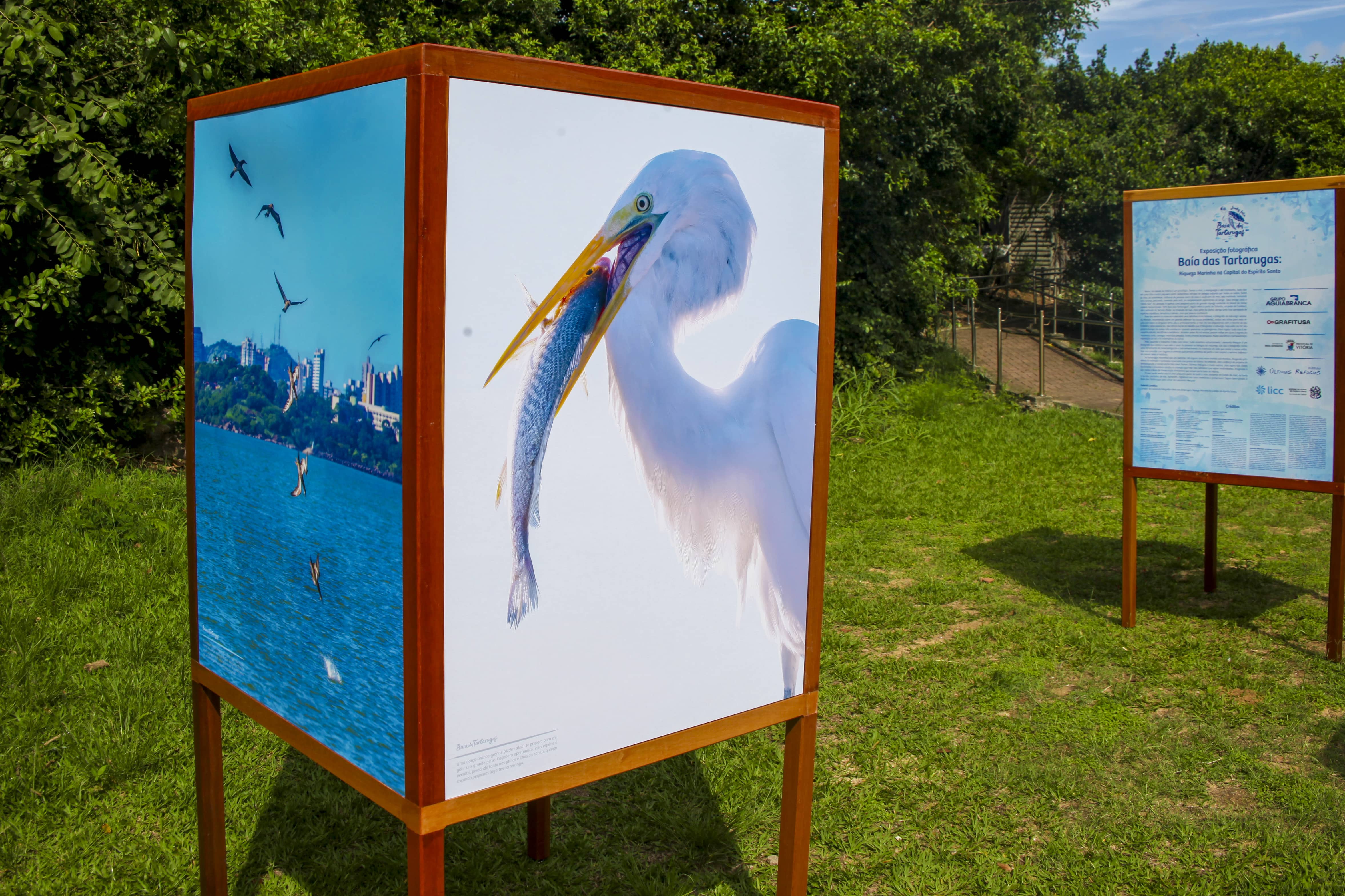 Exposição fotográfica do livro "Baía das Tartarugas" com totens mostrando imagens do livro