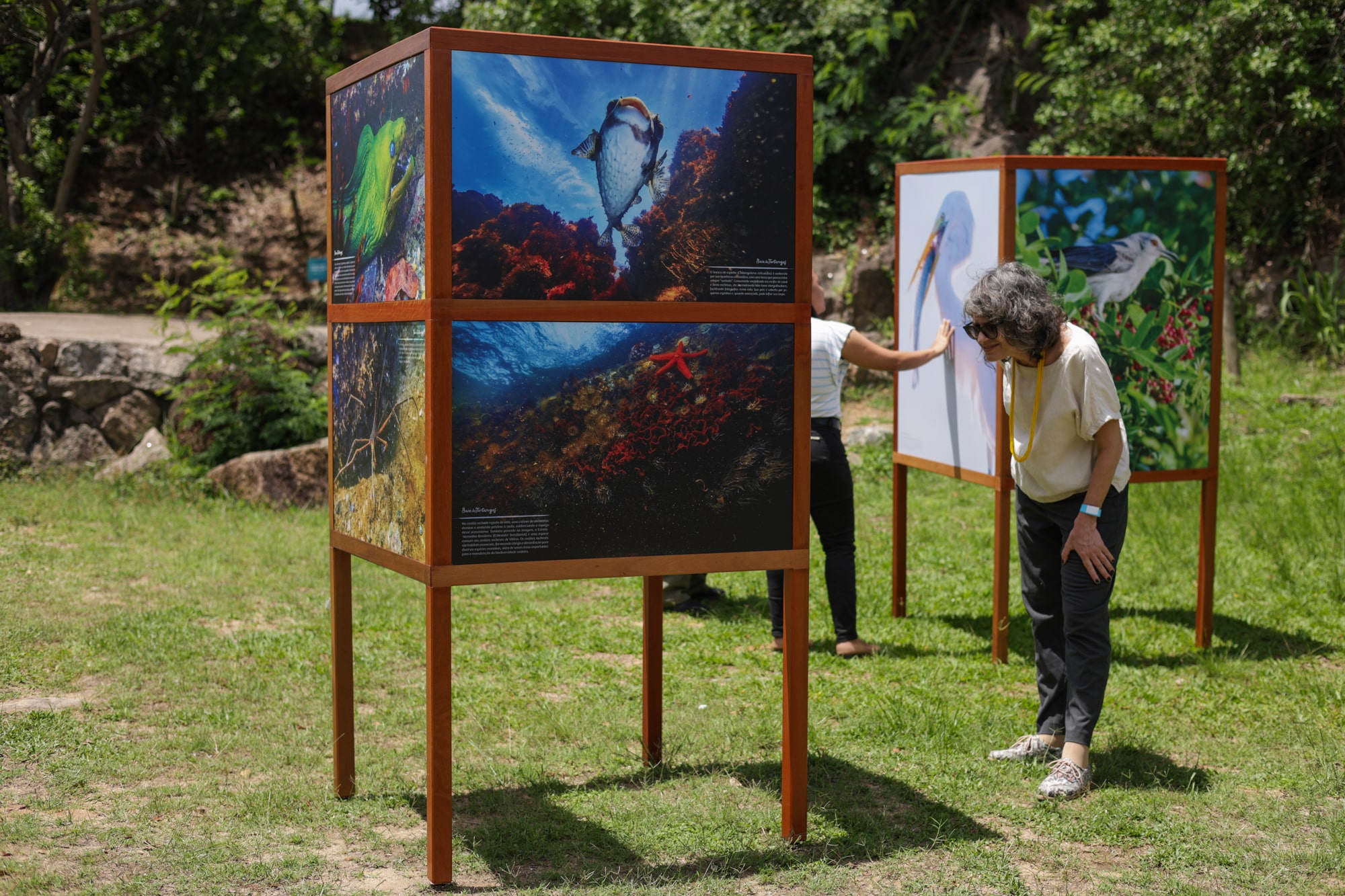 Exposição fotográfica do livro "Baía das Tartarugas" com totens mostrando imagens do livro