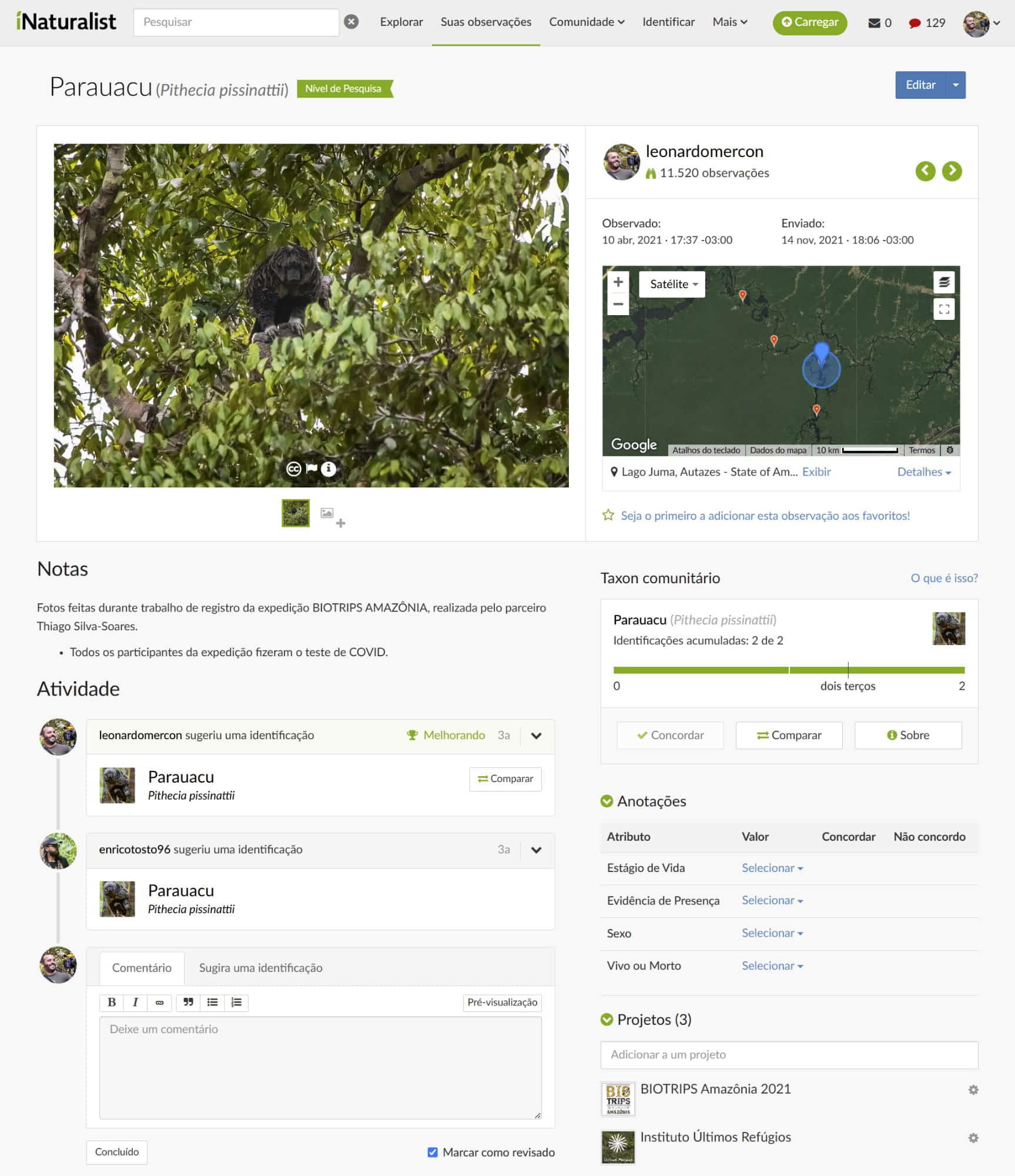Página do iNaturalist mostrando meu registro de Parauacús (Pithecia pissinattii) e o mapa de sua área de ocorrência