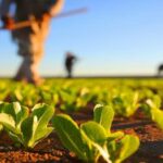 ES lidera a produção de oito produtos do agro no Brasil 