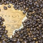Brasil ganhará espaço no mercado internacional de café