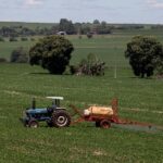 Agronegócio formaliza 360 mil empregos em três anos; Vagas avançam na agricultura 