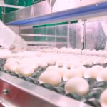 Com produção anual de 340 milhões de dúzias por ano, Santa Maria de Jetibá é a capital brasileira do ovo 