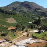 Produção de cafés especiais é destaque na Serra do Caparaó e promove turismo de experiência