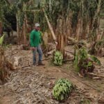 Chuva de granizo prejudica plantações de café e frutas do Espírito Santo