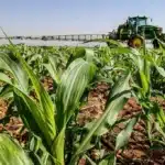 Impasse pode afetar produção agrícola em 2,2 milhões de propriedades brasileiras
