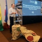 Programa da cafeicultura capixaba pretende ampliar produtividade do café conilon em 44% até 2030