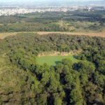 Área de preservação em Vila Velha pode se tornar parque municipal em breve