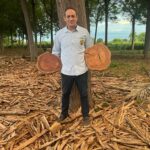 Mogno Híbrido: tecnologia de floresta plantada mais rápida do mundo chega no Espírito Santo
