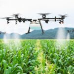 Retrocesso na agricultura capixaba: projeto de lei quer proibir pulverização aérea nas lavouras do Espírito Santo