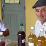 Produtor investe em bebidas fermentadas de cacau e pitaya no norte do Espírito Santo