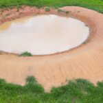 Barraginhas: Tecnologia implementada por produtores no Espírito Santo permite infiltração de água no solo