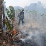 Número de incêndios florestais cresce 70% no Espírito Santo e preocupa o agronegócio