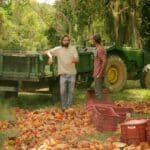 Da árvore à barra: Capixaba Ana Bandeira expande produção para crescer no mercado de chocolates no Brasil e EUA