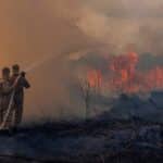 Queimadas já atingiram 5,6 mil hectares no Espírito Santo; pastagens foram as mais afetadas