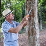 Empresa de Aracruz exporta 250 arcos de violino por mês para o exterior