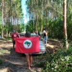 Invasão de terras em Aracruz: existe fundamento jurídico para desapropriação?